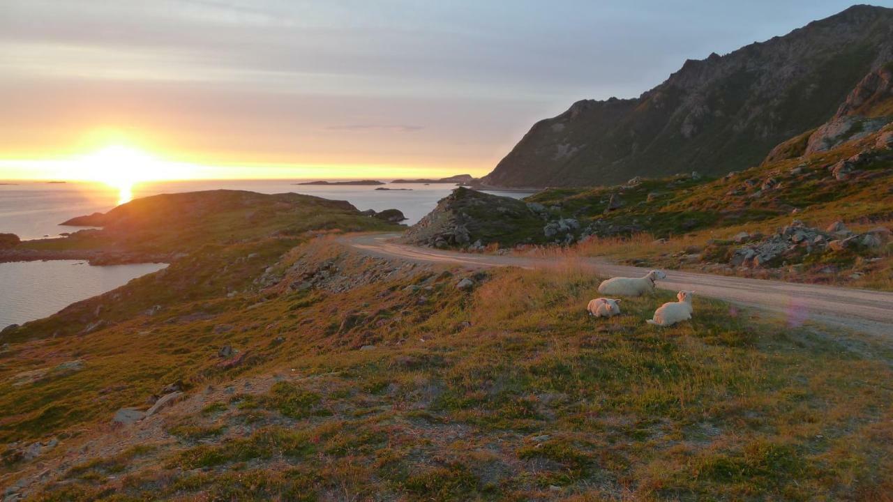 Nyksundrom, Nyksund Exterior foto